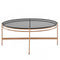 Modrest Bradford - Modern Smoked Glass & Rosegold Coffee Table